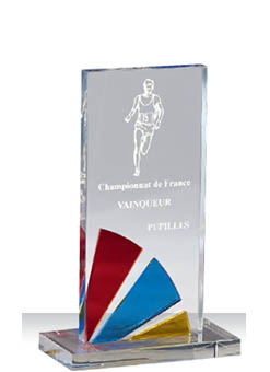 Trophée plexiglass Transparent<br>175-5121