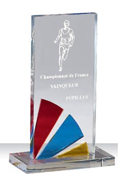 Trophée plexiglass Transparent<br>175-5221