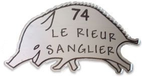 Plaque professionnel  or gravure noire