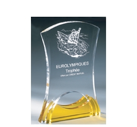 Trophée plexiglass Transparent<br>''luxe'' 161-0121