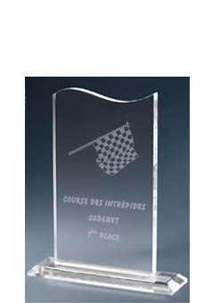 Trophée plexiglass Transparent<br>173-1121